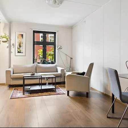 Stylish & Modern Apartment, In Centre, Free Parking Spot ! 特隆赫姆